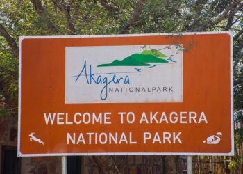 Akagera Park’s Rwf1.2bn Gift of Hope: Where the heart of conservation meets the heart of the people