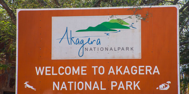 Akagera Park’s Rwf1.2bn Gift of Hope: Where the heart of conservation meets the heart of the people